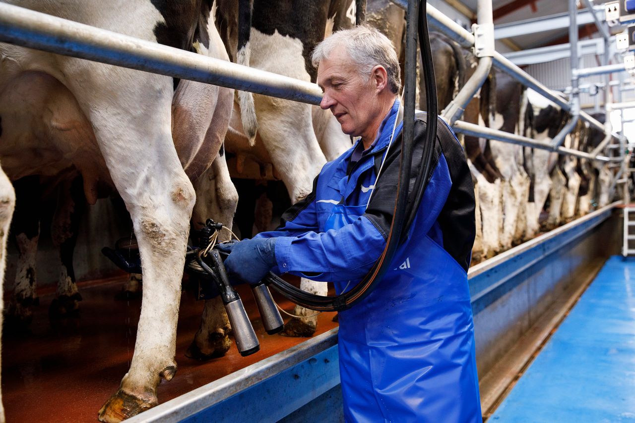 Milking milestone: DeLaval notches up 90 years in Ireland