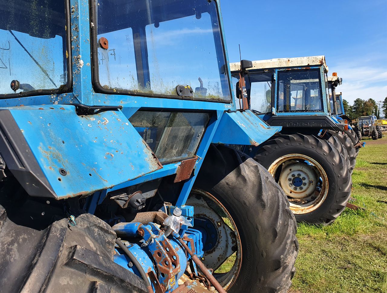 Auction report: 4-pot Fords aplenty…at the 'big bog sale'