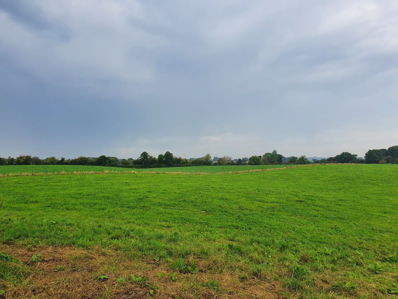 Eurostat: Average land rental price in Ireland of €353/ha