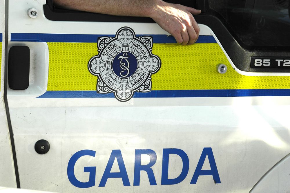 'Multiple microchips' in horses mooted as cause of Garda investigation