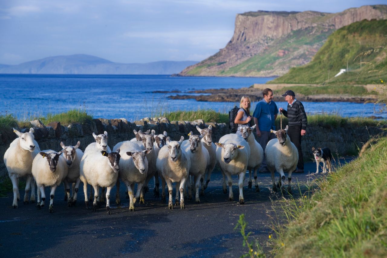 Grants up to €200k available for rural tourism diversification