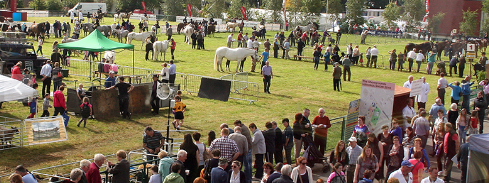 All set to go in Cavan for the Virginia Show 2019
