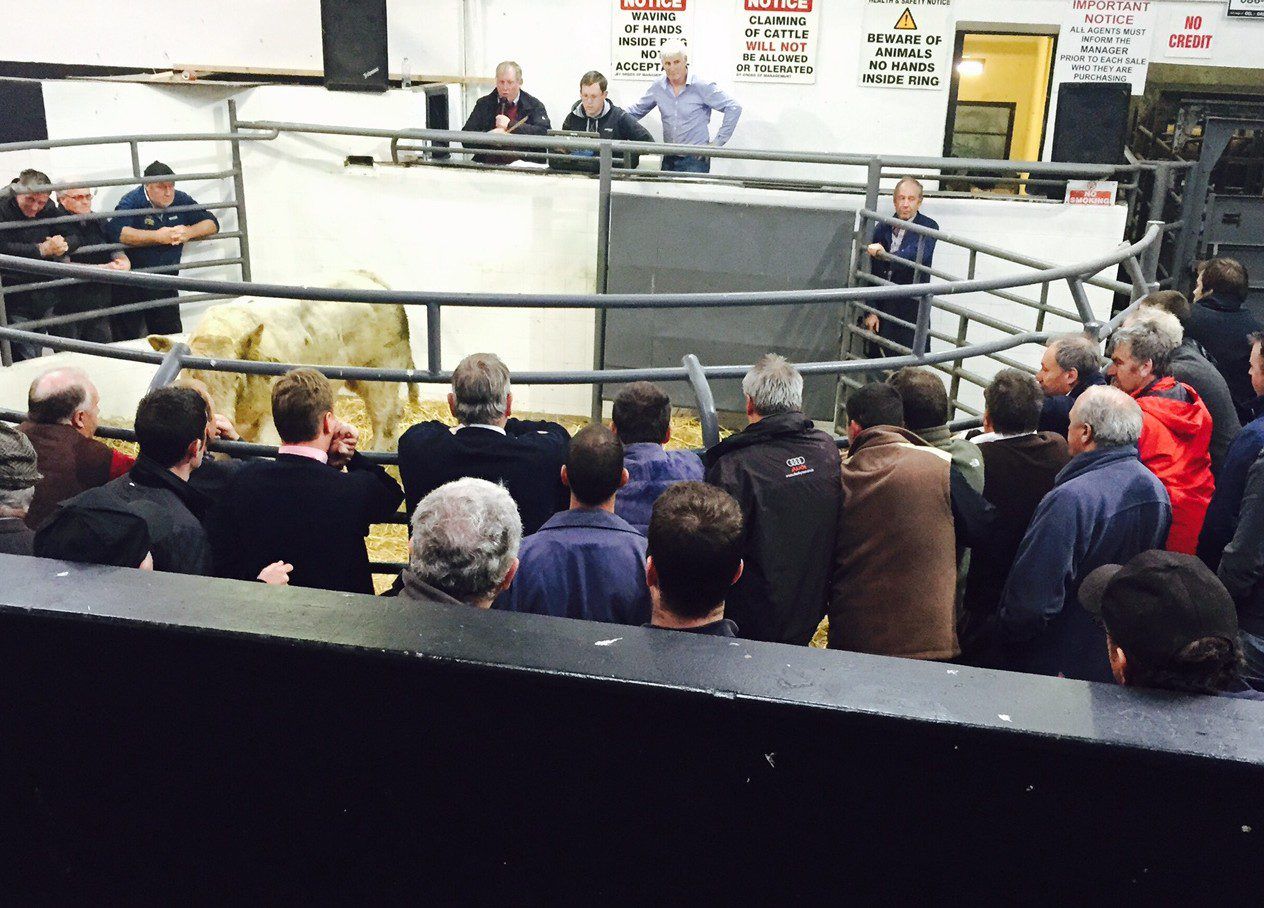 'Farming carries 10 times more risk of fatality'