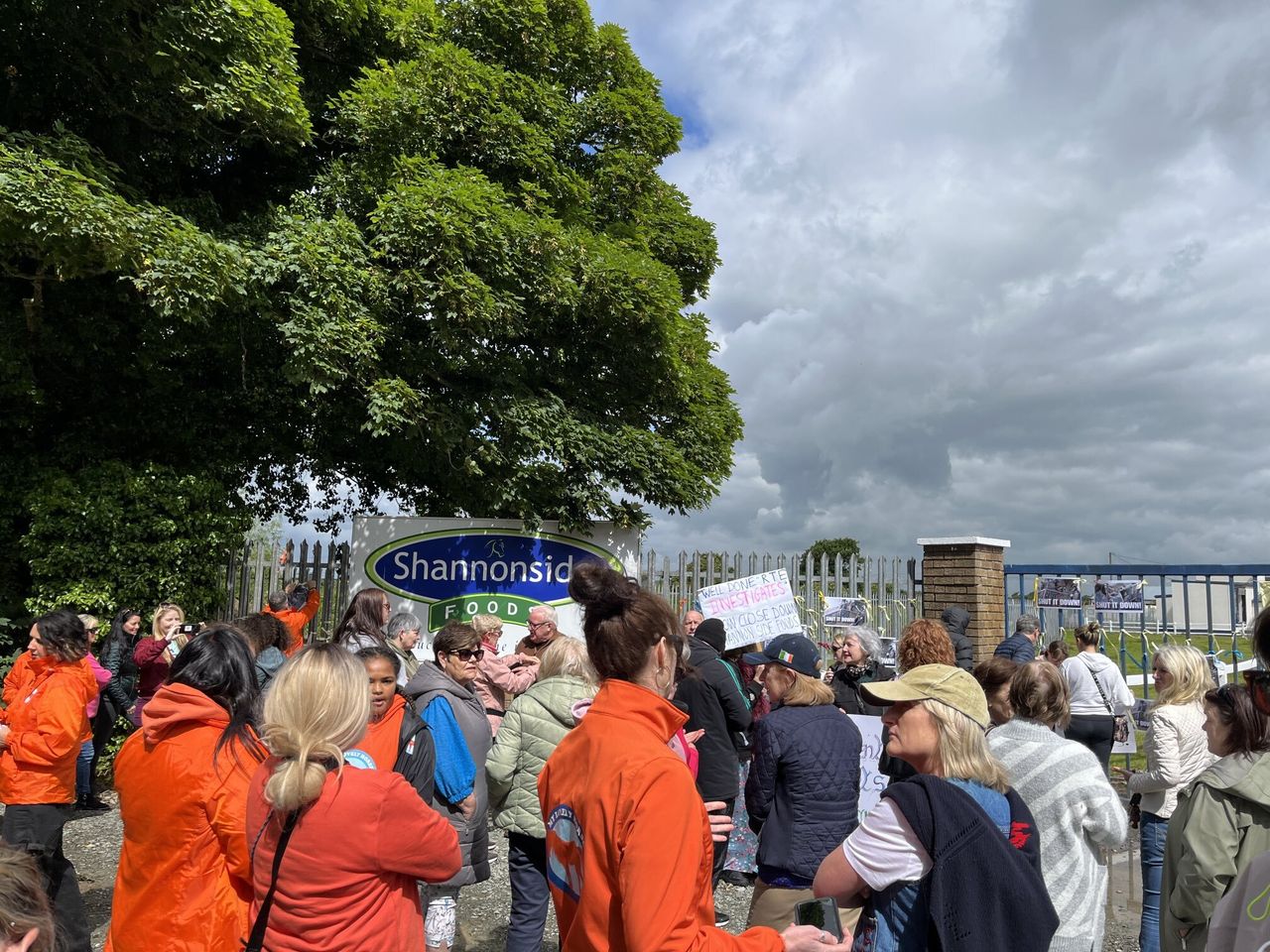 Protesters gather at horse abattoir following exposed animal abuse