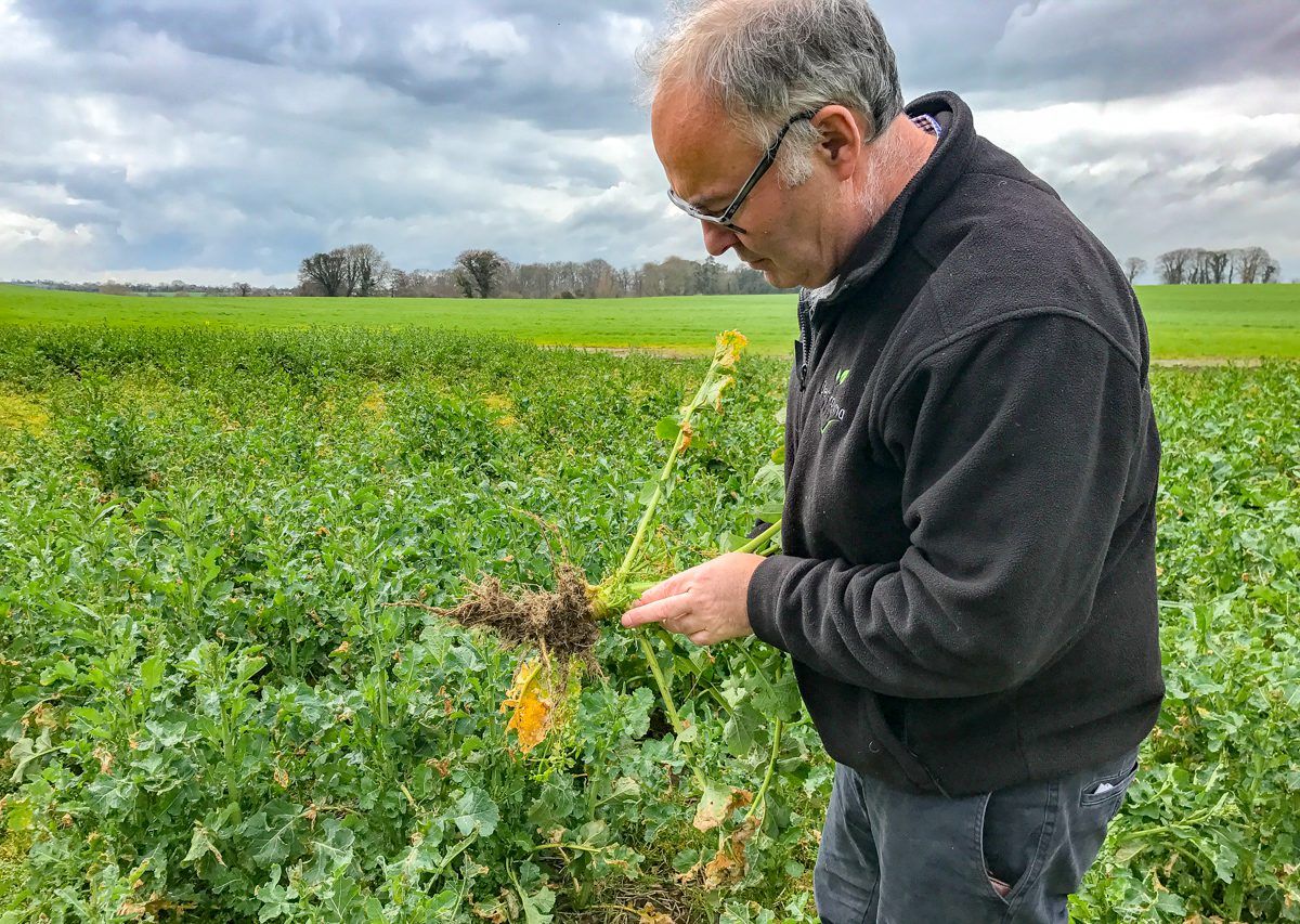Tillage focus: How a monthly 'oil' cheque has changed this tillage farm