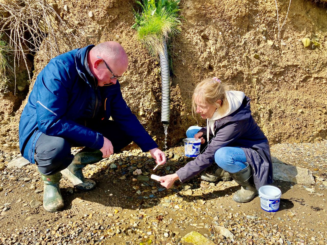 Lower nitrates discharges celebrated at Bannow Bay