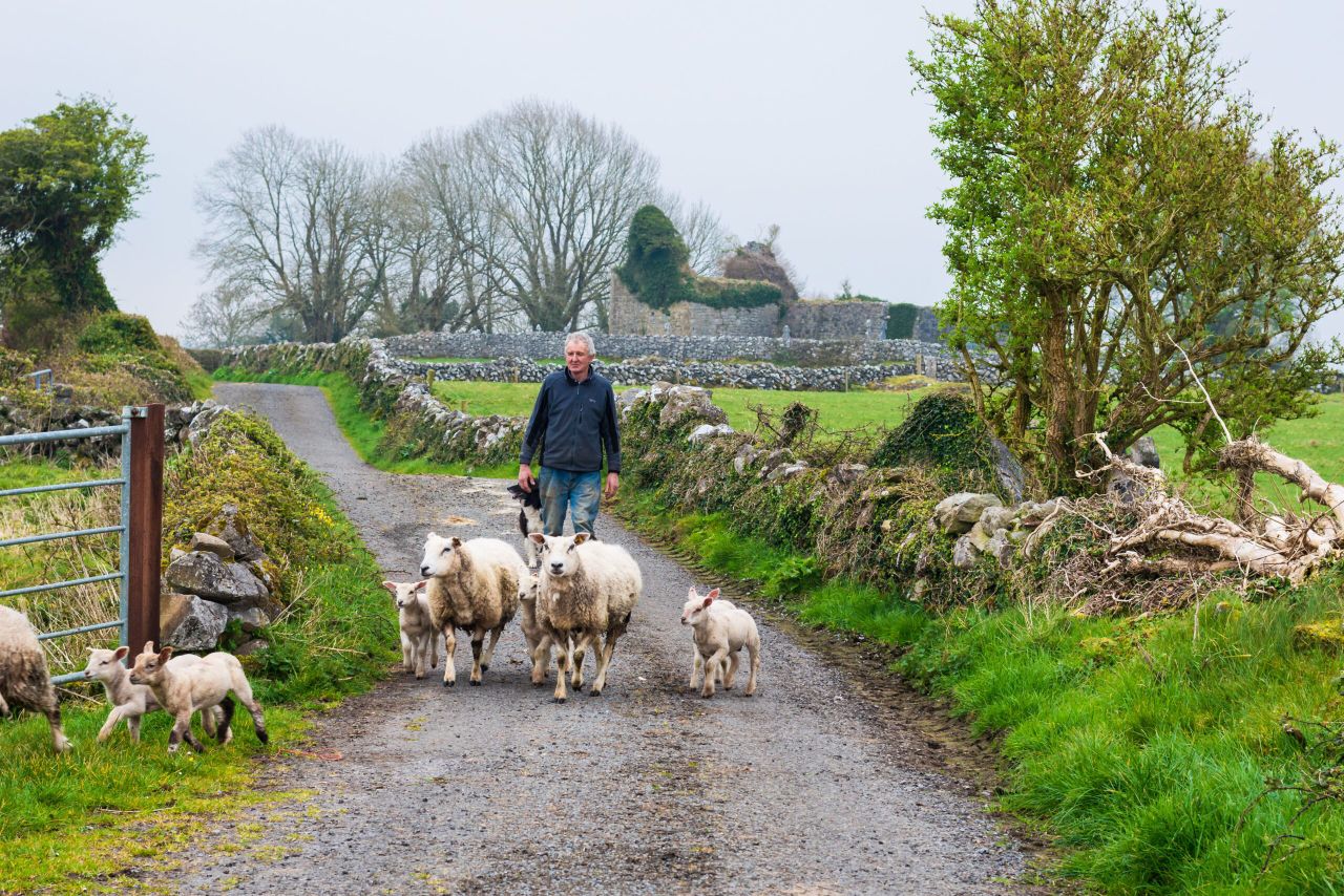 Closing date approaching for farming for nature award