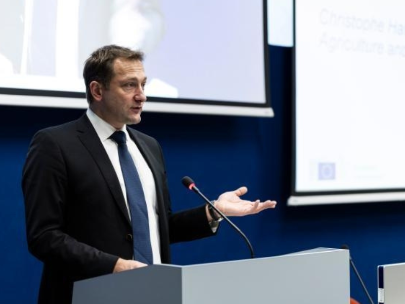 Hansen: Simplification reform needed 'well ahead' of next elections