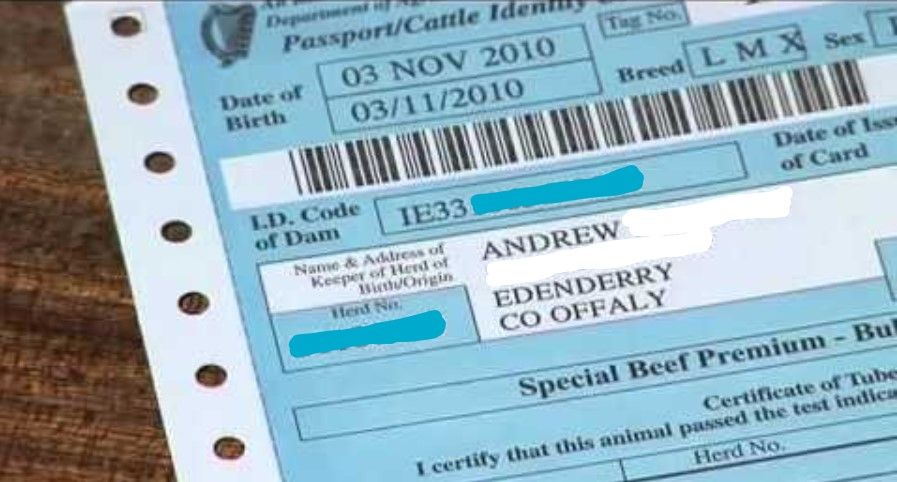 Extra dam data to be included on bovine passports