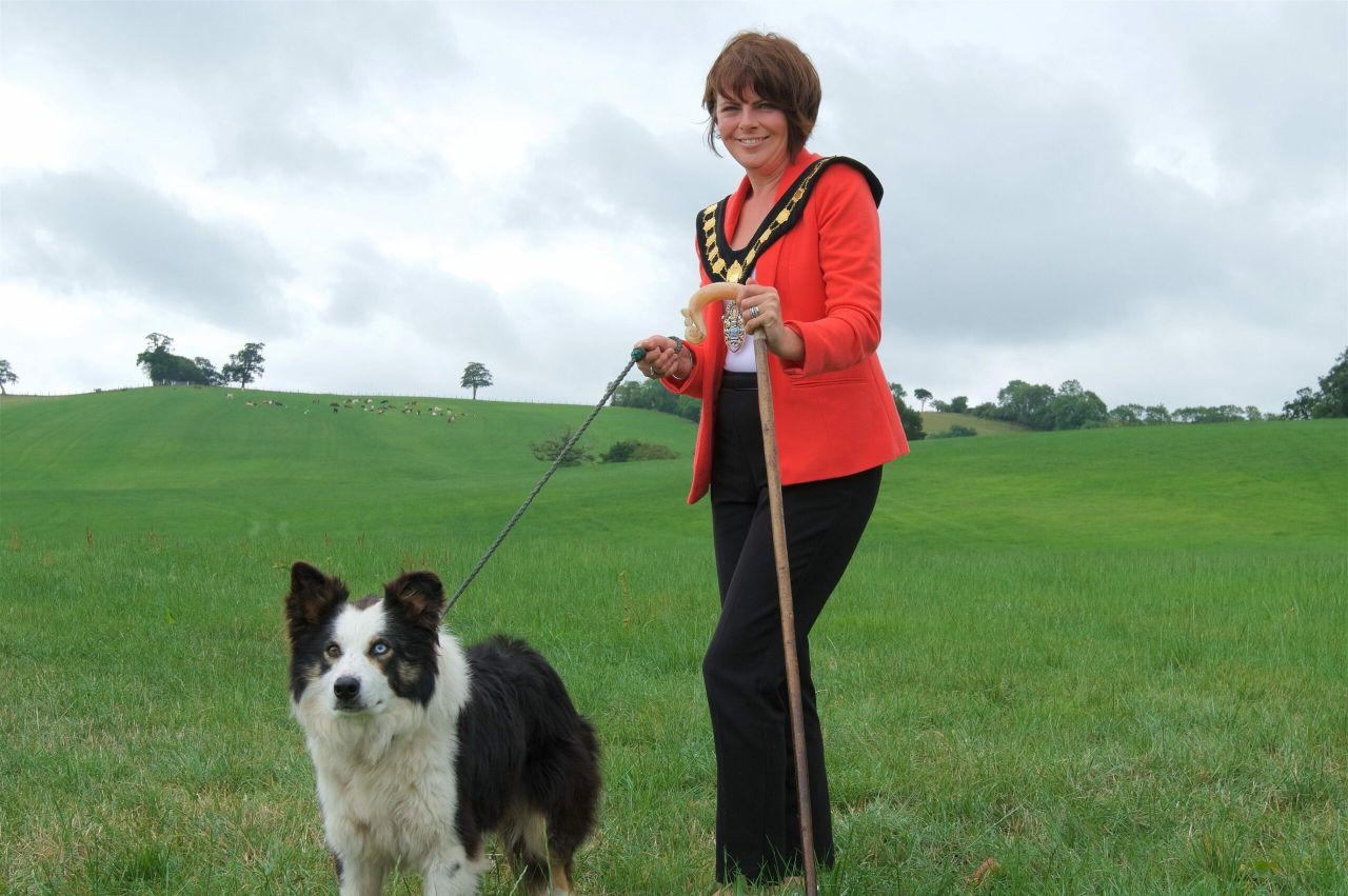 Dromore gears up for International Sheepdog Trial 2018