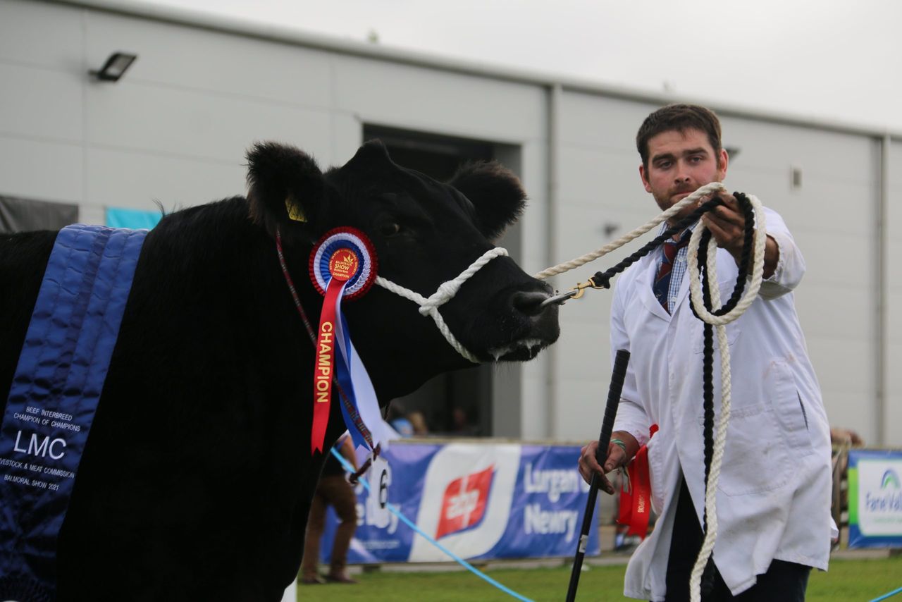 Angus cow-calf duo clinches Balmoral interbreed in 'maternal masterclass'