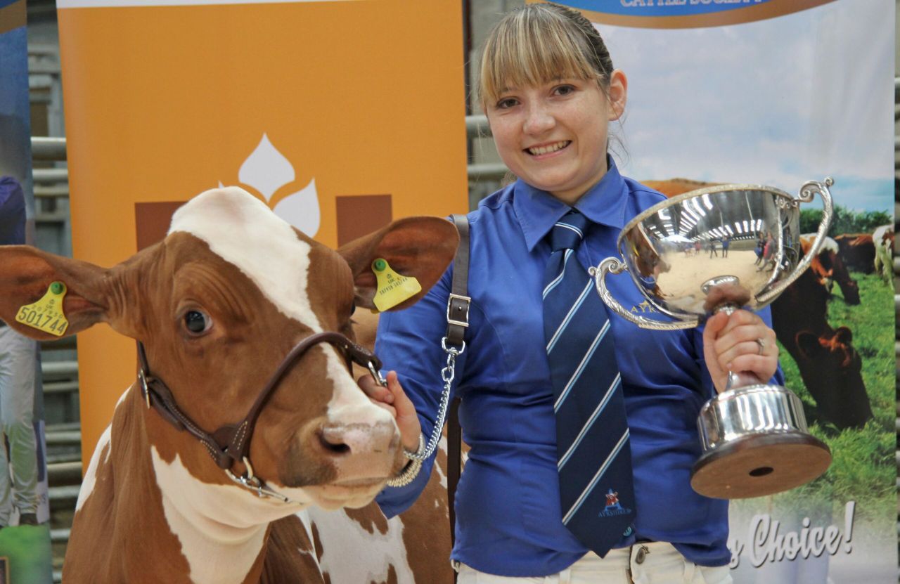 Entry date looming for Northern Ireland multi-breed calf show