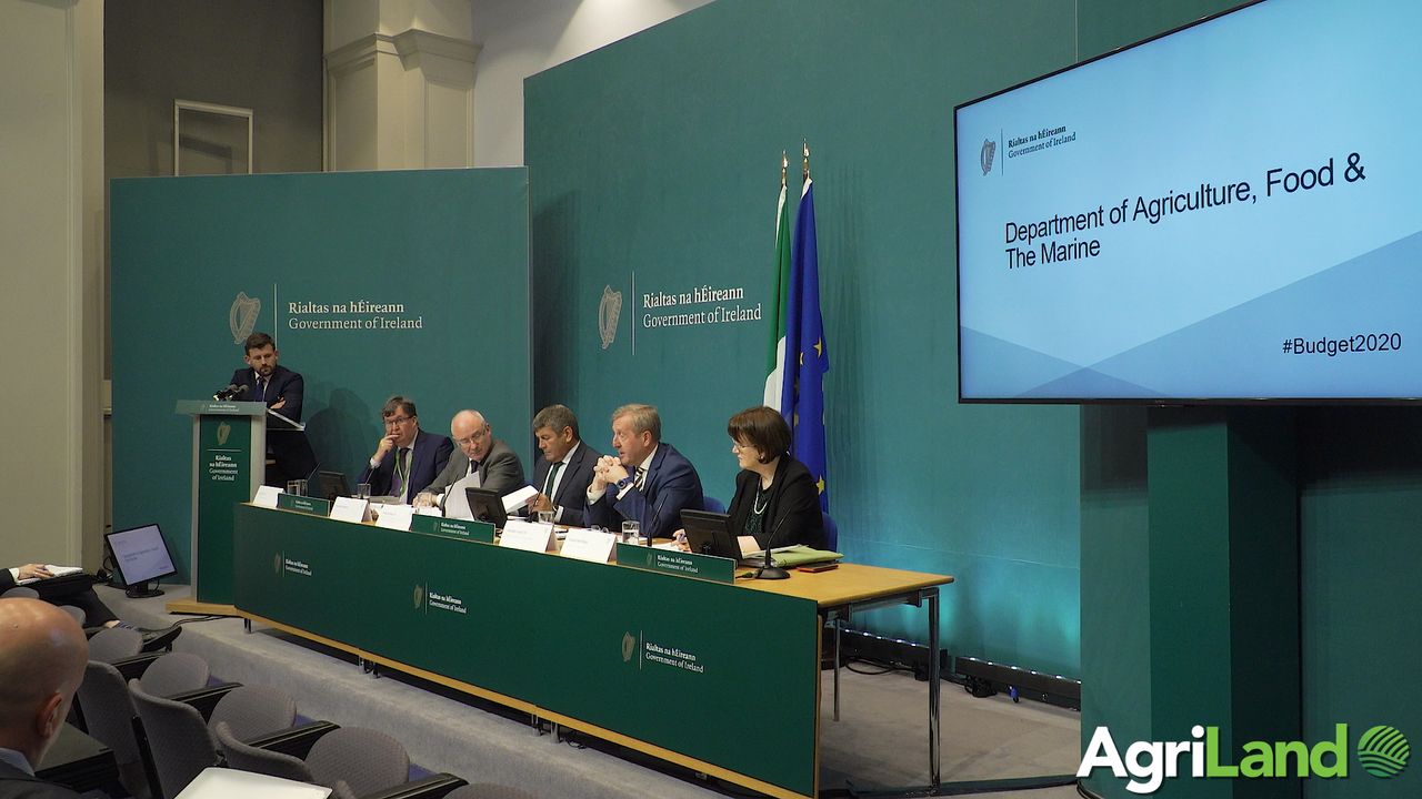 Budget 2020: Dairy farmer finishers 'would be included' in €85m beef package