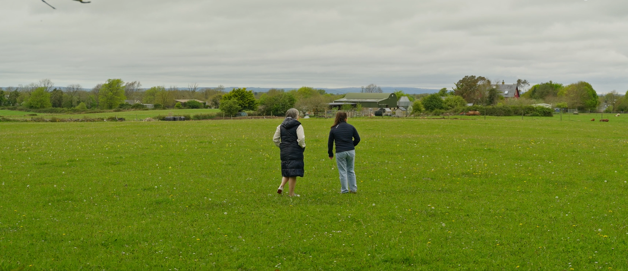 Watch: Limerick B&amp;B reflects on revival of rural tourism