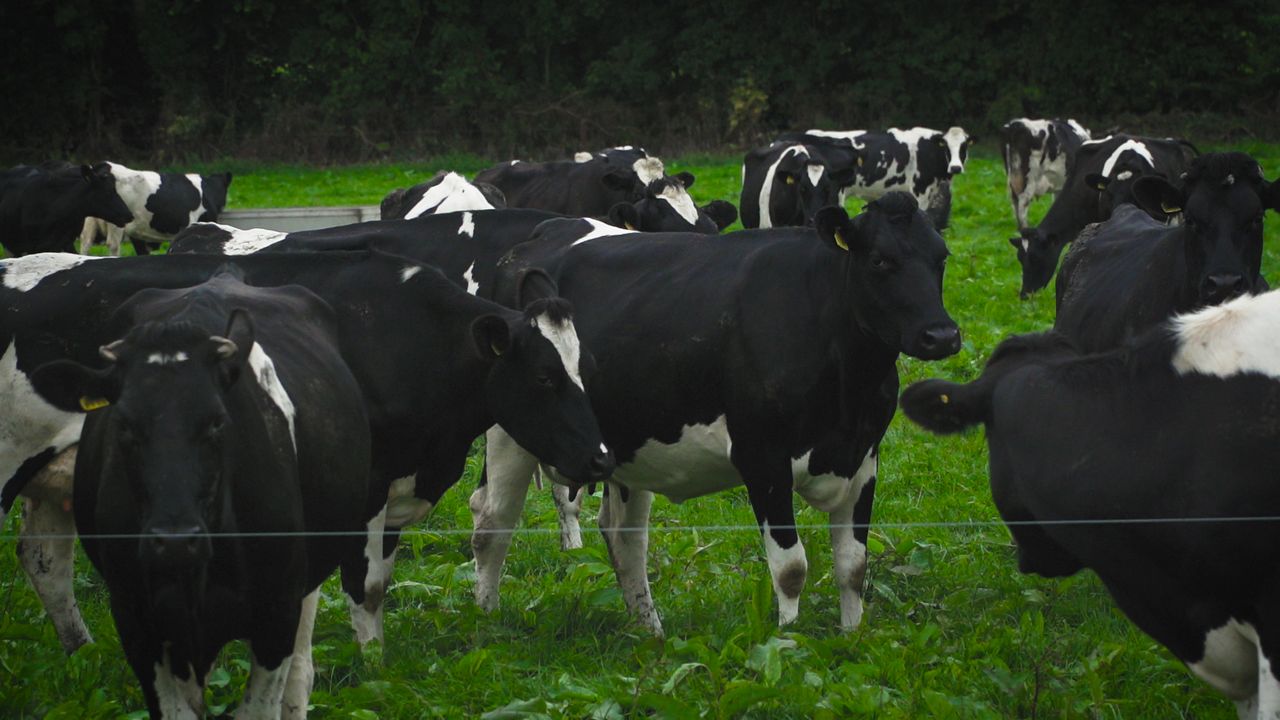 Video: How can I improve the environmental and efficiency performance of my farm?