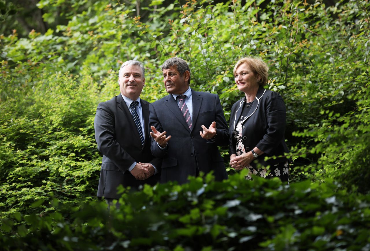 Coillte launches new 'branch' with an alternative focus