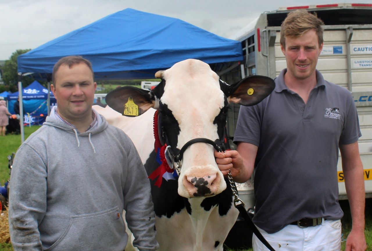 The Dairy Championship at Newry Show was won by the Holstein third calver, Ernevale Alligator Rosina EX 92. She was exhibited by Andrew Patterson, from Antrim (left) and David Simpson from Lisburn