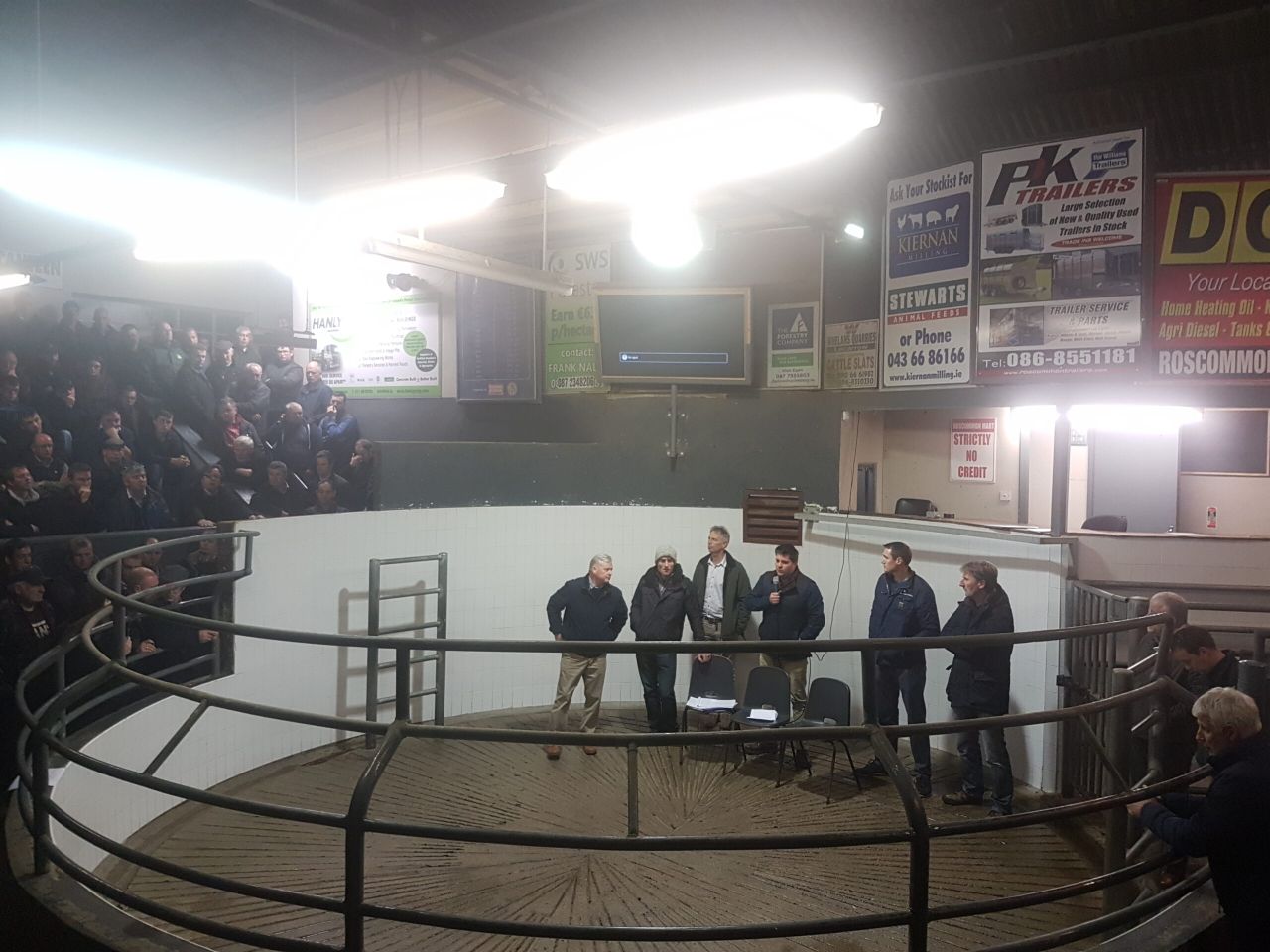 What do farmers think about the state of the beef industry?