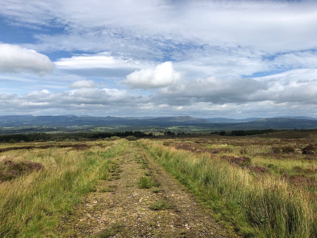 Health and environmental concerns to the fore as battle to stop 5G in Leitrim begins