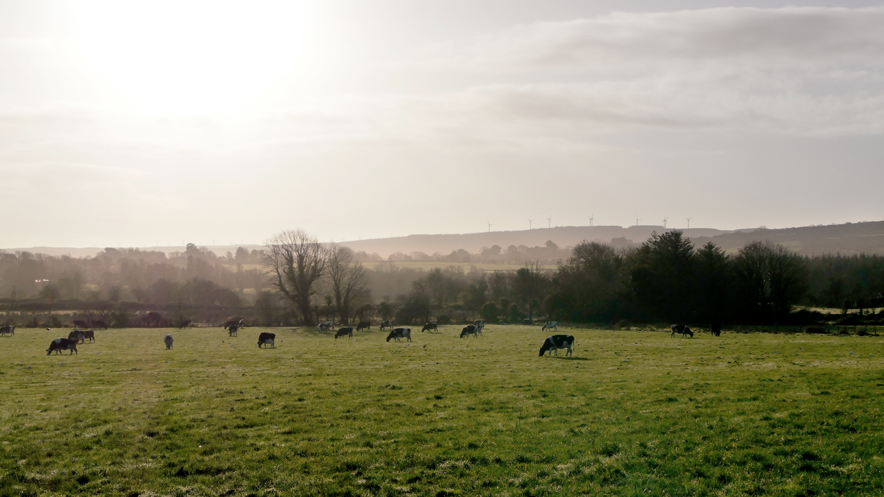 Emissions reduction: Stable national herd will be 'core requirement'