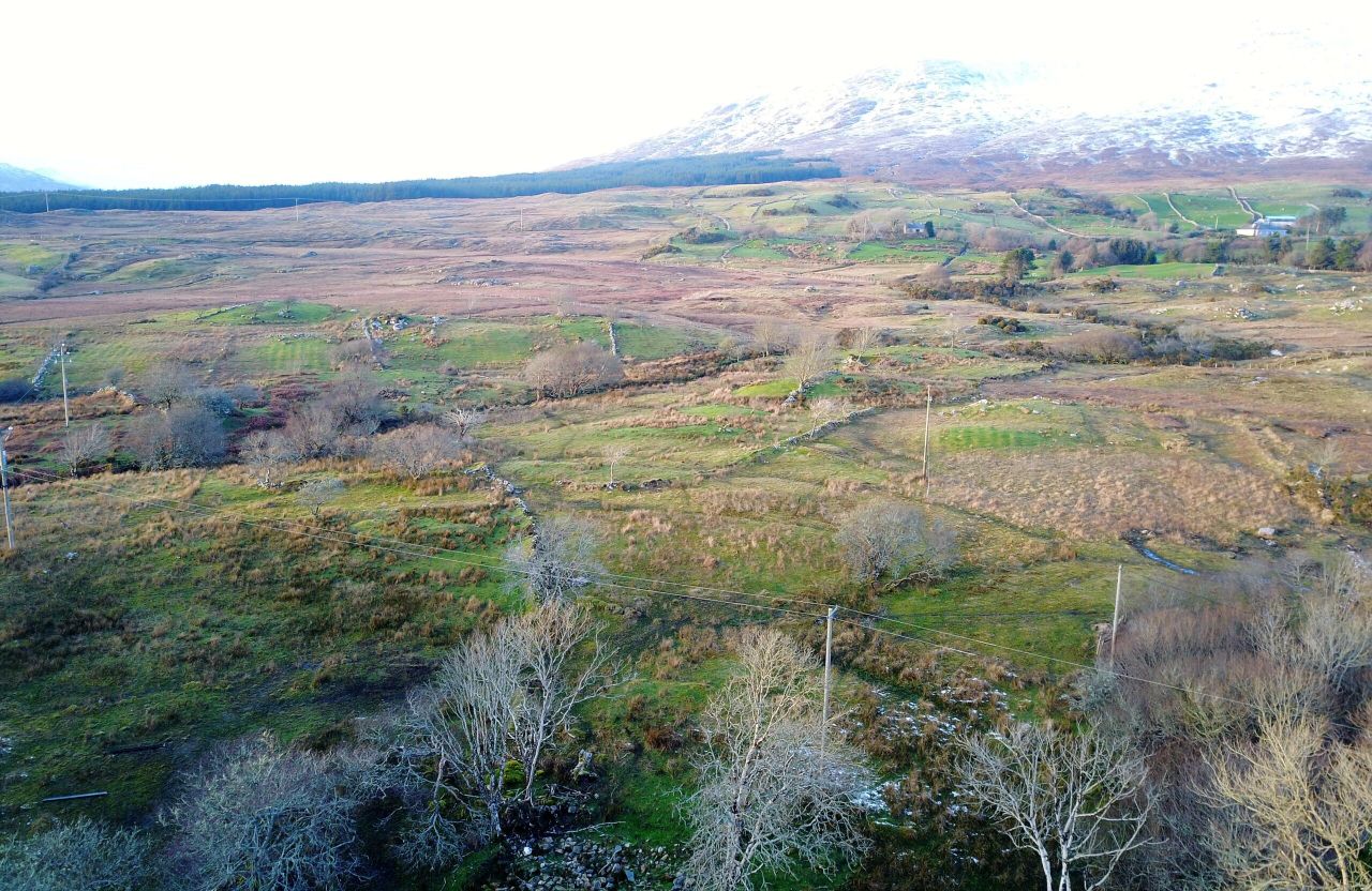 Investment opportunity with site potential on Co. Galway land goes for €1,905/ac