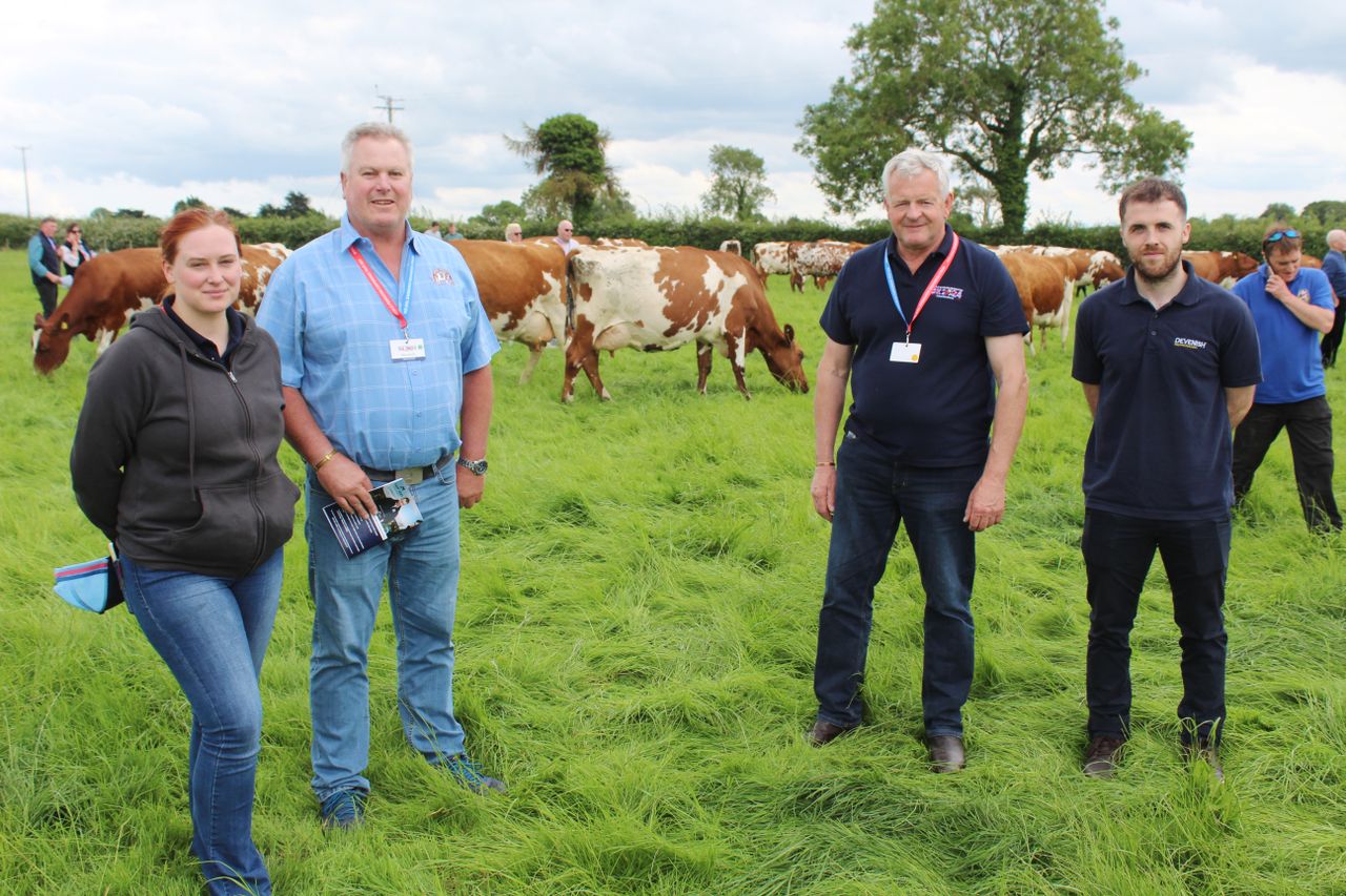 Ayrshire cattle breeding – the South African experience