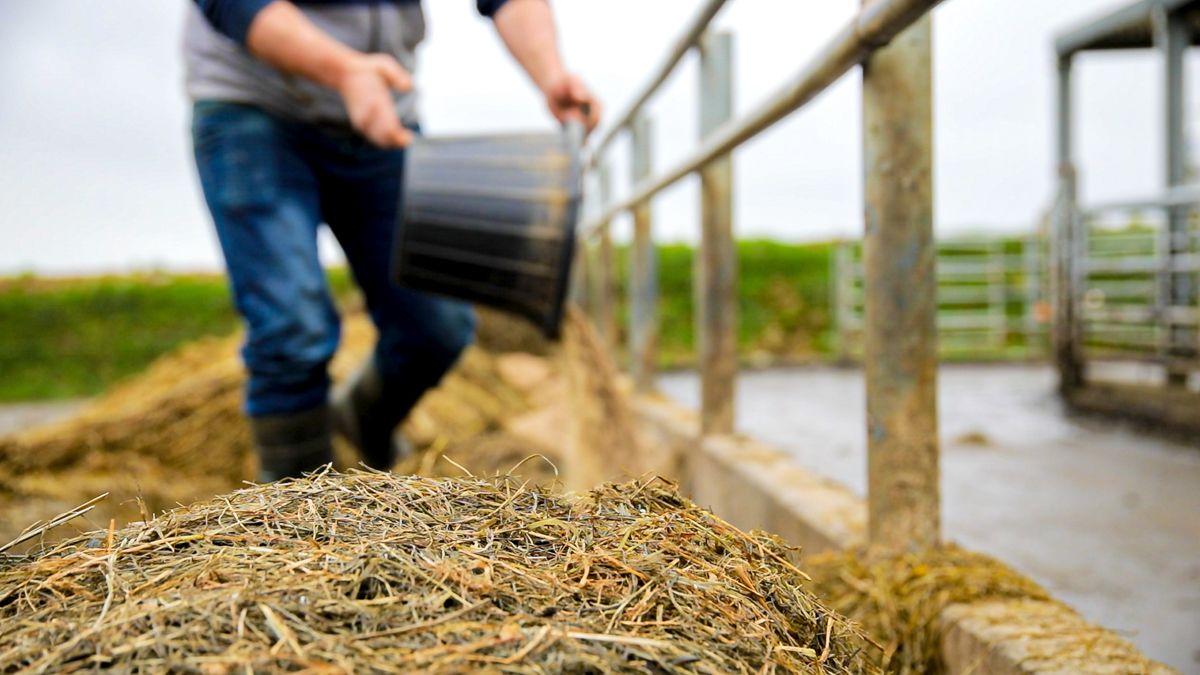 Irish Family Farm Group sets wheels in motion for busy 2021