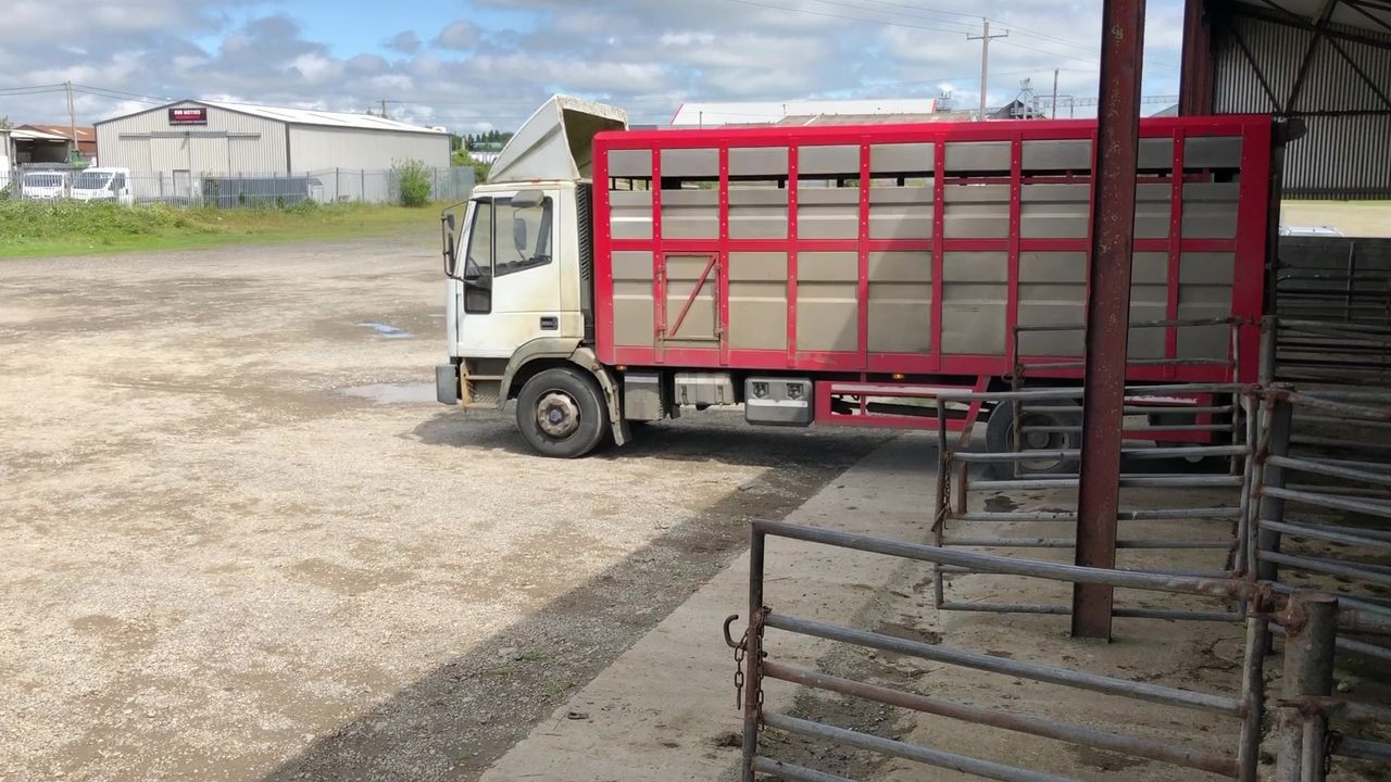 Figures show a further tightening of NI lambs coming south for direct slaughter