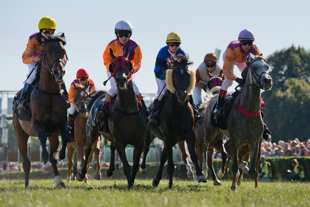Irish beef takes centre stage at the biggest horse racing event in the US
