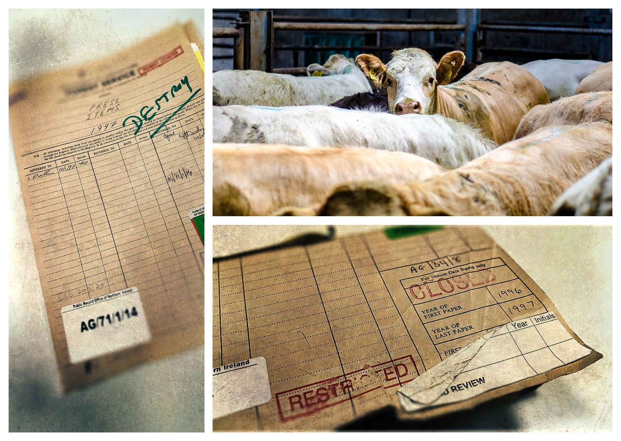Declassified files: 'Fish was on the plate, but beef (and BSE) were on the menu'