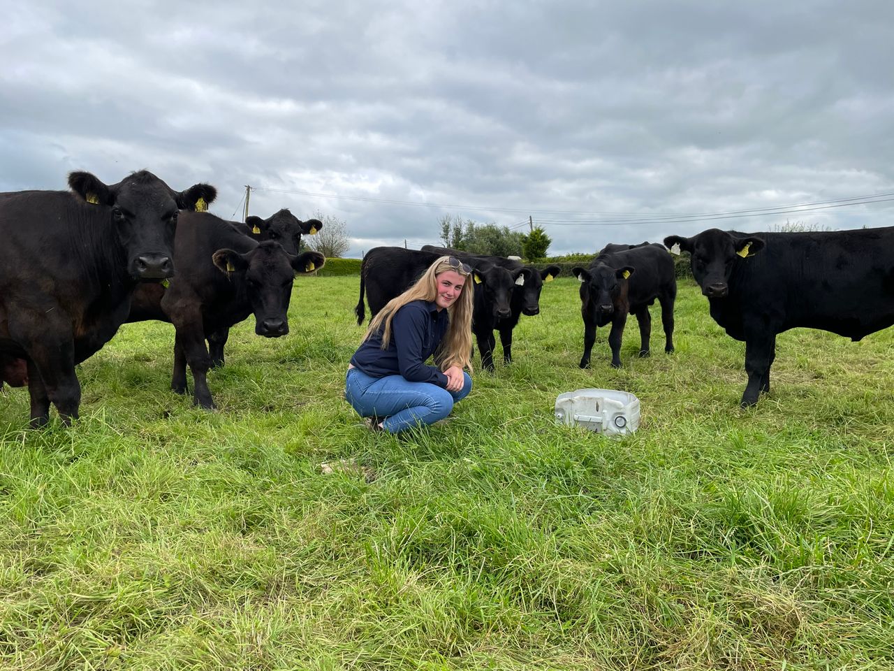 Elphin Angus and Shorthorn breeder's show success story