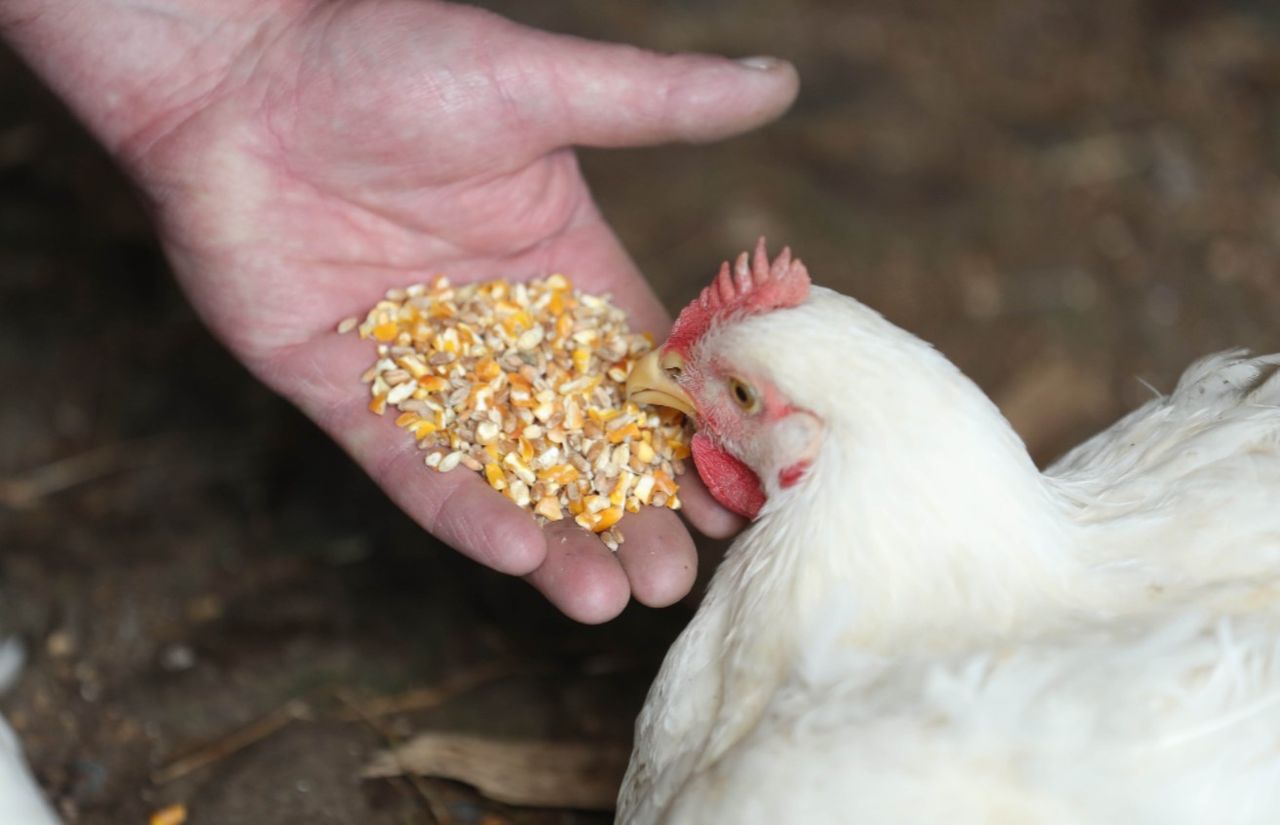 Farmers to Market outlines sustainability goals under Origin Green