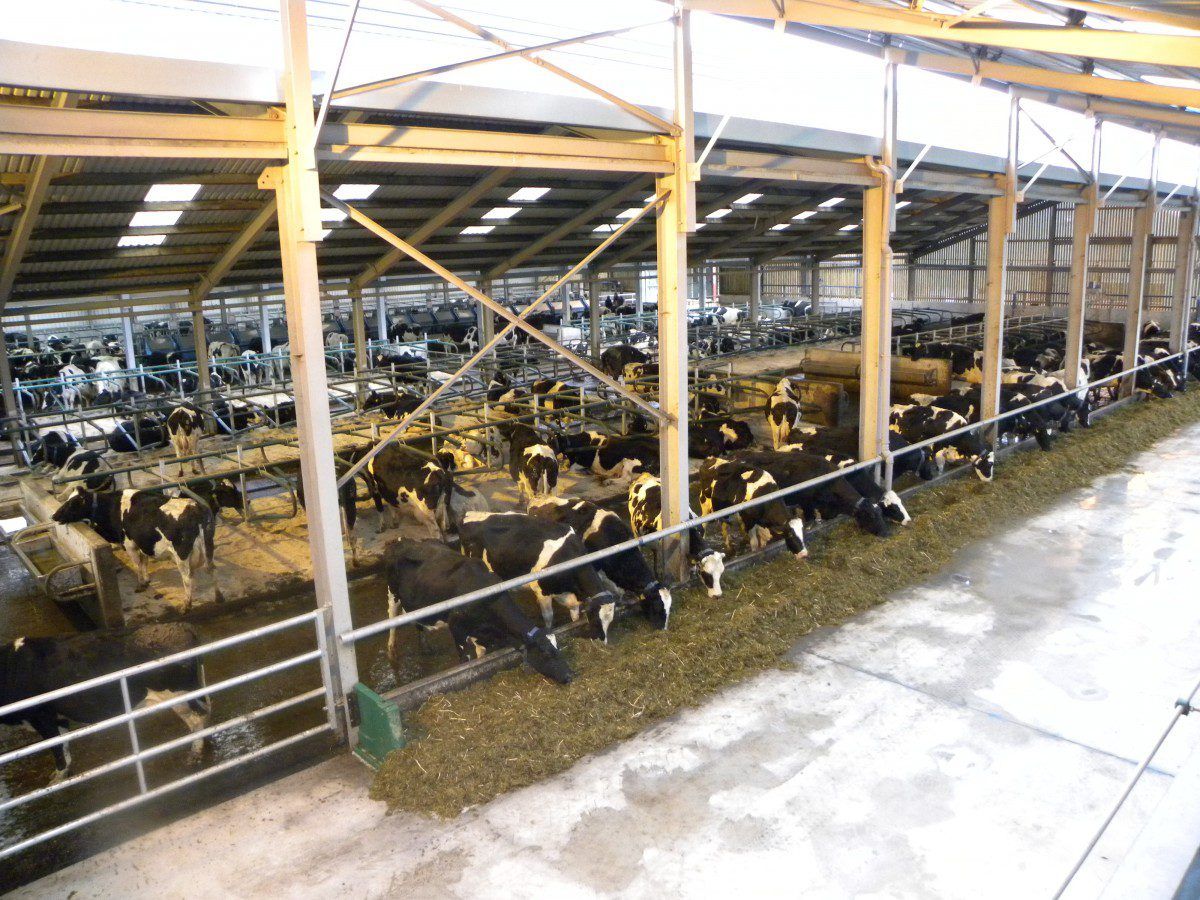 Inside the €2.3m UCD dairy research farm at Lyons