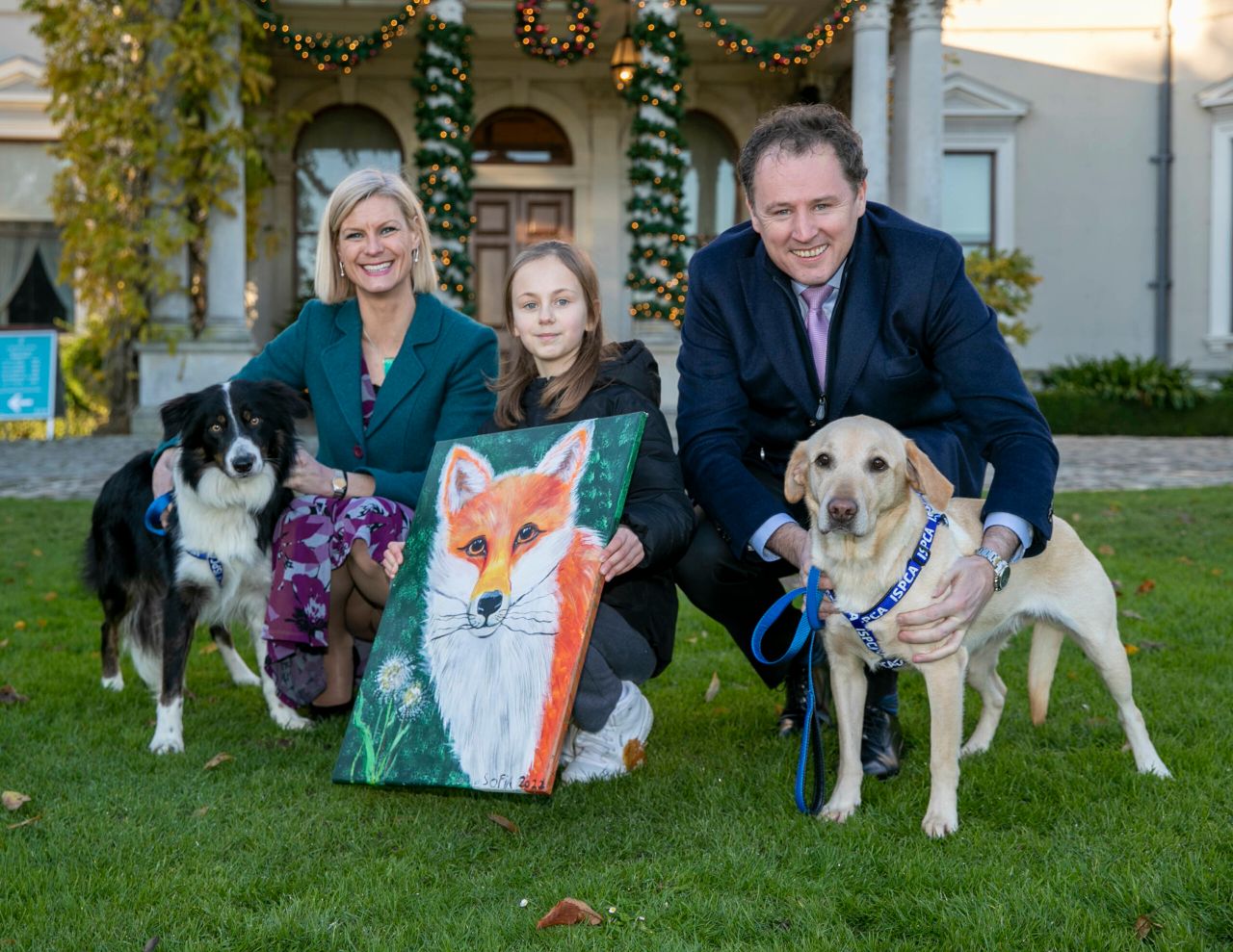 Animal welfare charities to get €5.8 million - DAFM
