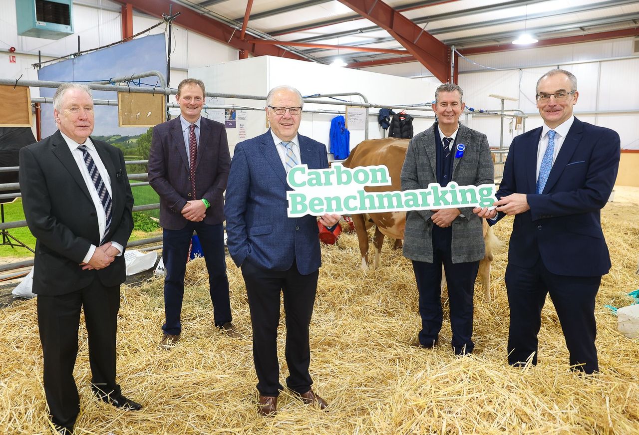 NI initiative to tackle dairy sector carbon emissions