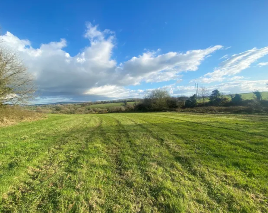 Kerry farm makes almost €18,000/ac at auction