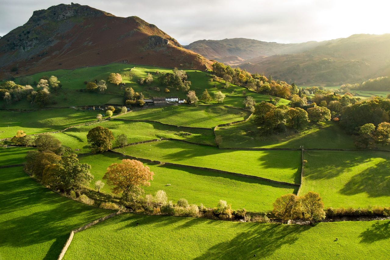 Call for 'new story' in Irish farming narrative