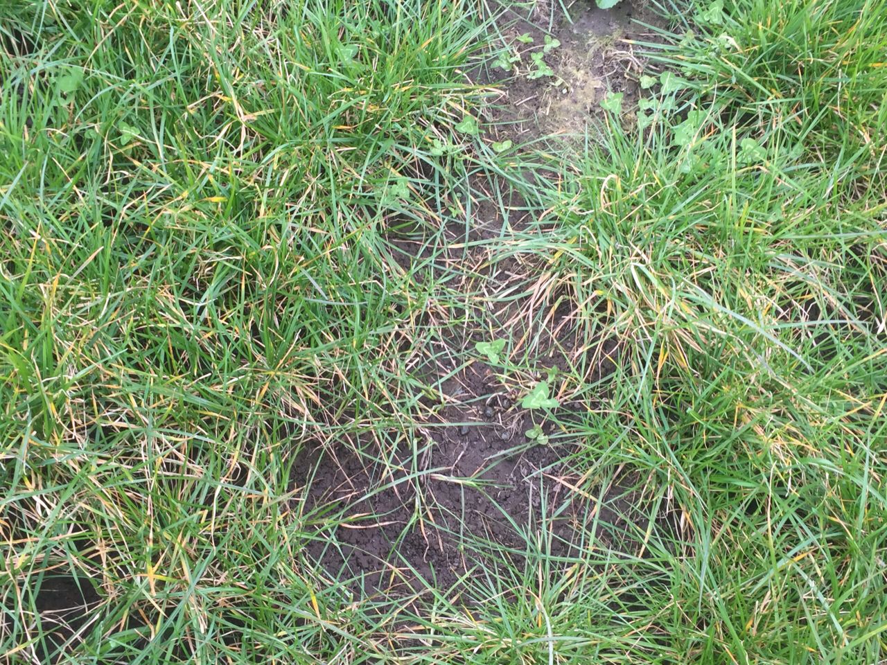 Soil analysis shows much work to be done on improving soil condition