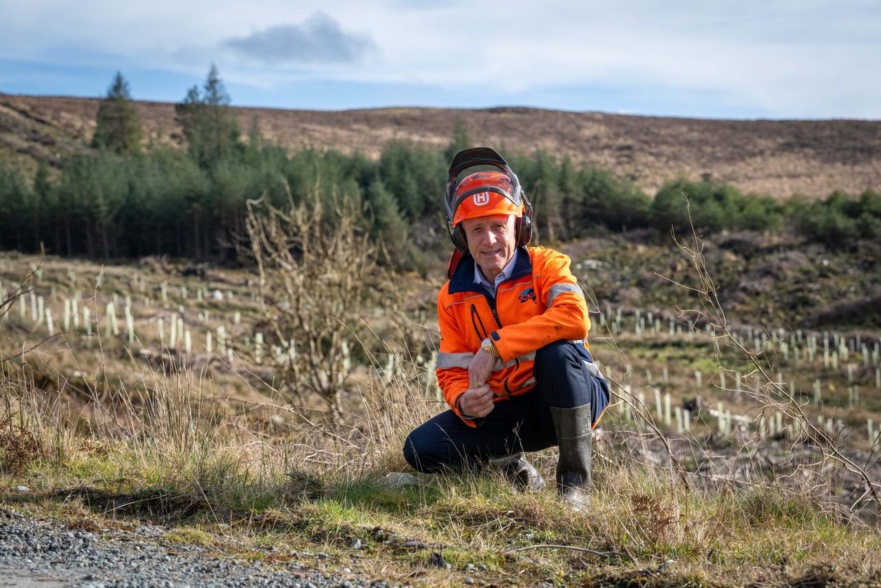 Healy-Rae delivers mid-term review of Forestry Programme