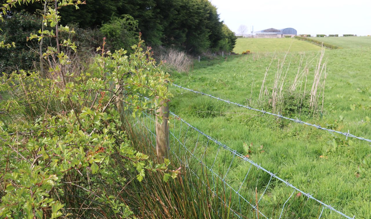 Fourth tranche of Environmental Farming Scheme (Higher) to open
