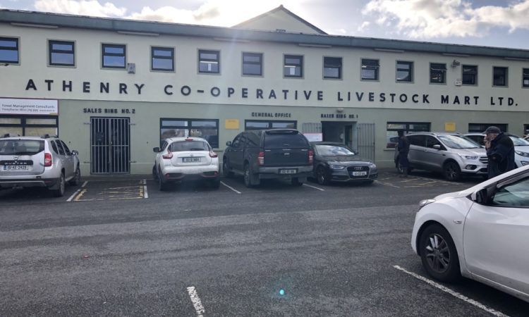 Solid trade remains for forward cattle at Athenry Mart