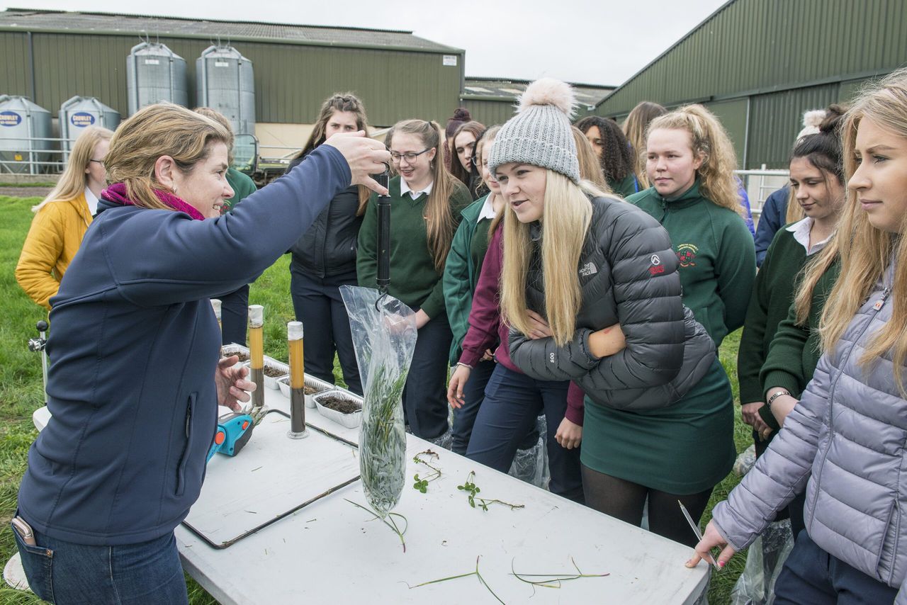 'Women in STEM' centre focus for Teagasc in Science Week '17