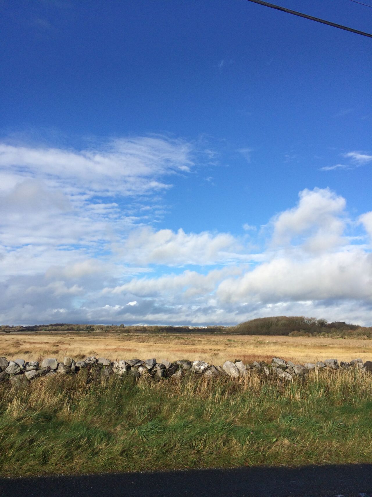 Ending producer monopolies among Renua's plans for rural Ireland