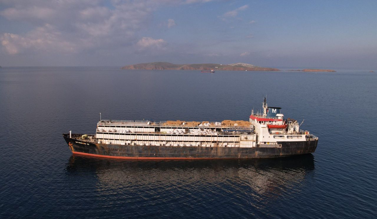 Destination unknown for livestock ship after reportedly unloading in Libya