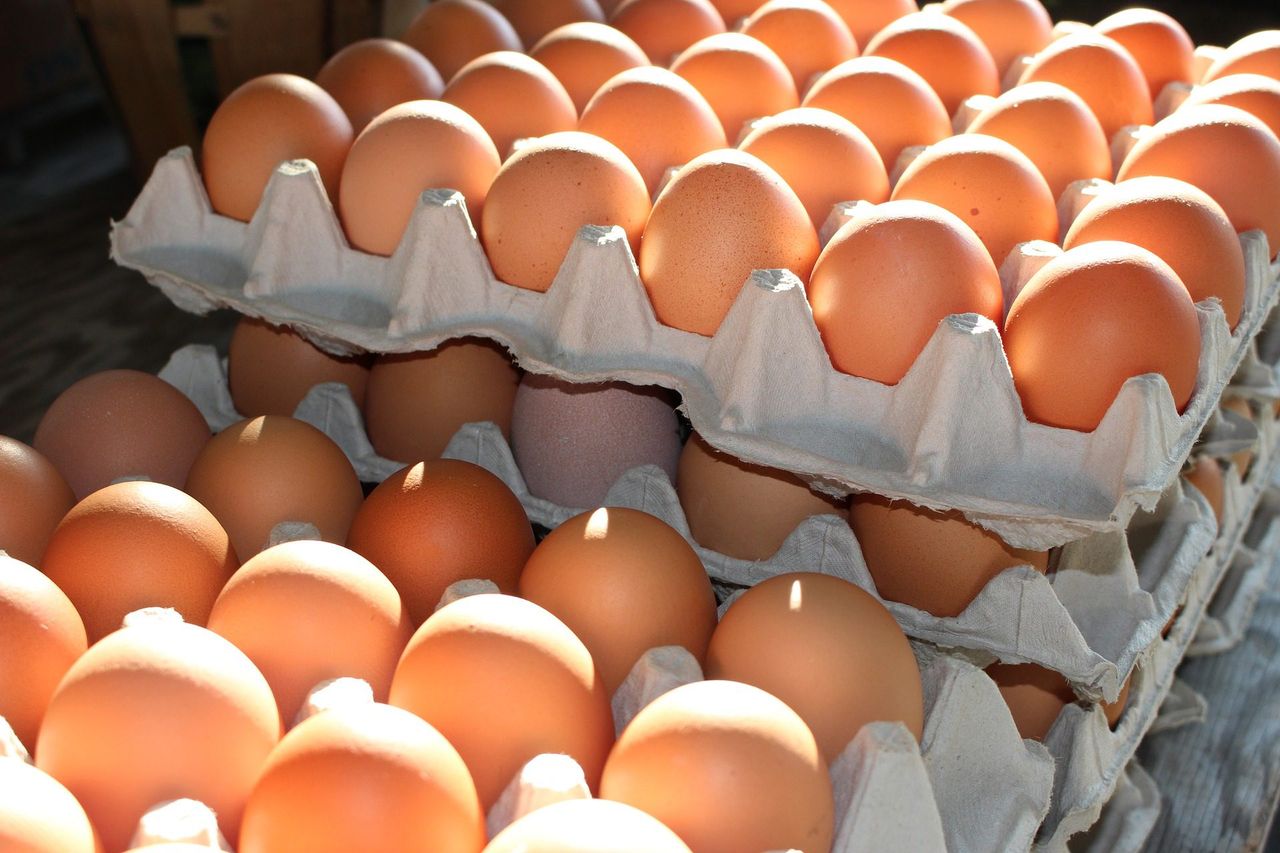 Tesco Ireland moves to barn, free range and organic eggs