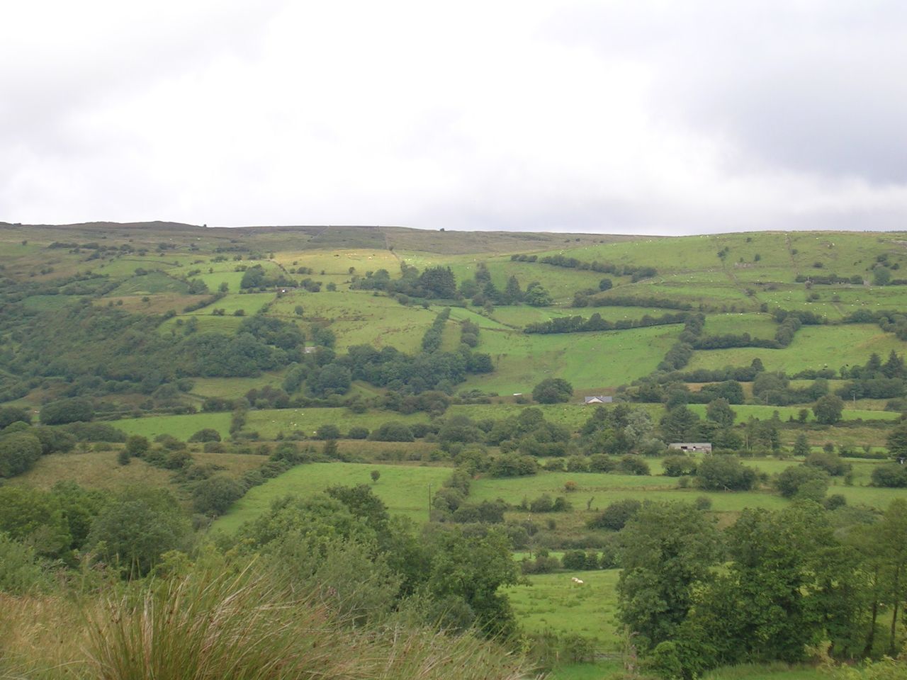 Revised criteria for eligible hectare in new CAP welcomed