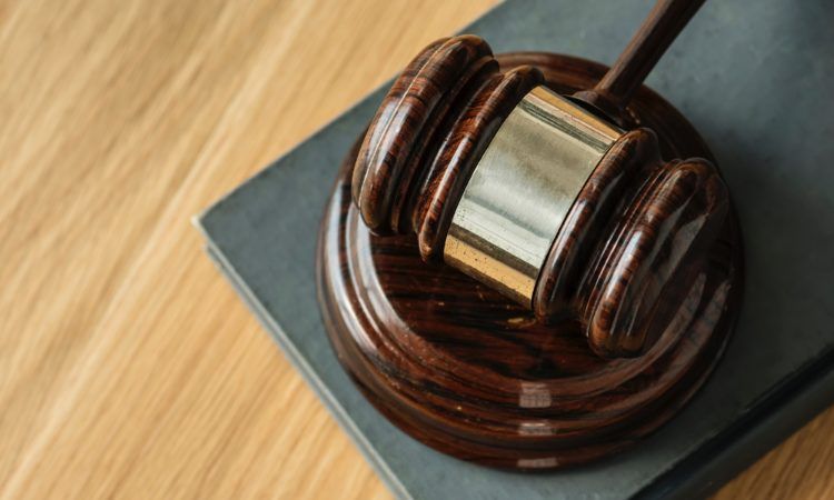 ICC brings High Court challenge against government decision to exclude coursing in Level 5