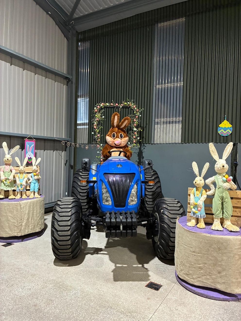 Cork farm's Easter trail returns even 'bigger and better'