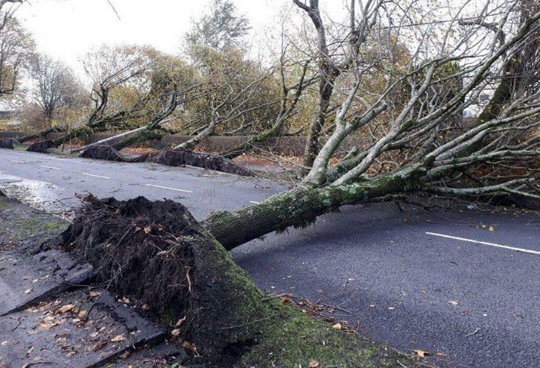 Department's assessment of storm's impact: Structural damage and outages on farms