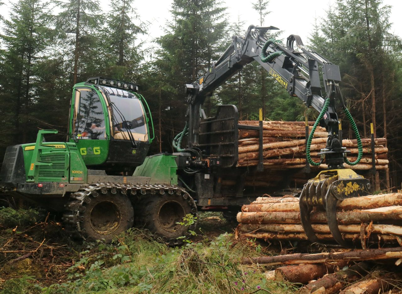 IFA: Number of forest licences issued in March down 45% on January